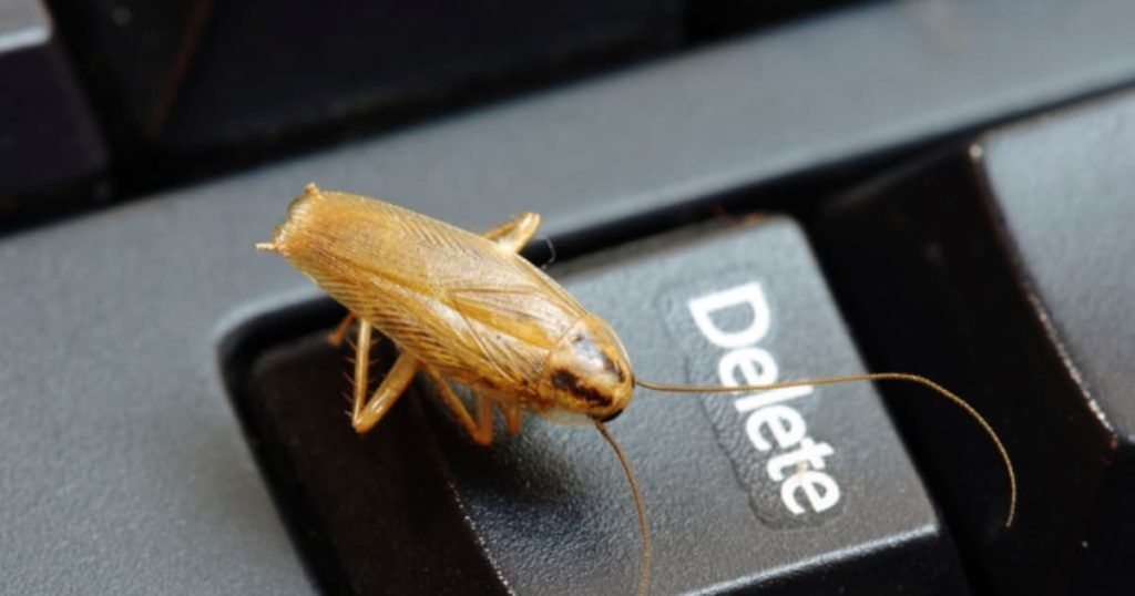 Уничтожение тараканов в офисе в Краснодаре